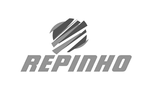 logo-repinho- cinza