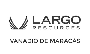 logo-van�dio- cinza
